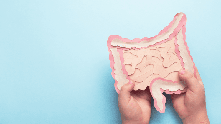 LeanBiome review: does this probiotic actually support weight loss? We analyse the research and compare it against LeanBiome's marketing claims.