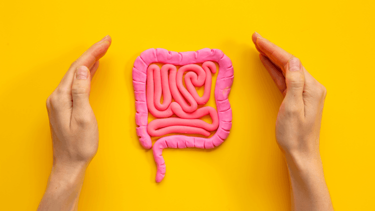 YourBiology Gut+ review: Does this £39.99 women's probiotic support weight loss? We analyse the 4 bacterial strains, research evidence, and UK costs.